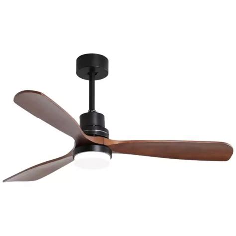 Paddle Wheel Style Ceiling Fan | Shelly Lighting