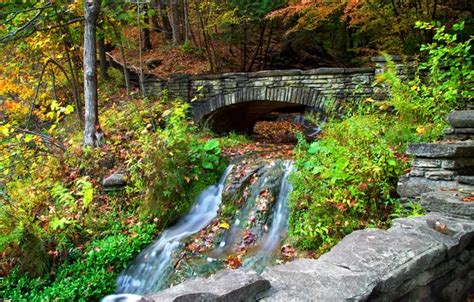 Wallpaper Autumn Forest Leaves Trees Bridge Park River Stones