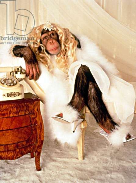 Monkey With Wig Hair Blonde