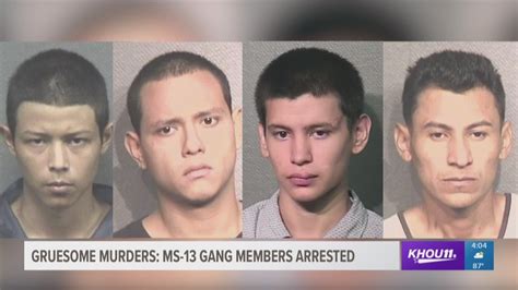 'Worst of the worst': 9 alleged MS-13 gang members charged with 5 area ...