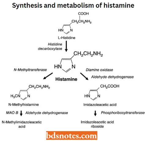 Medicinal Chemistry Of Antihistamines Agents Notes Bds Notes