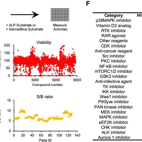 Schematic And Detailed Results Of High Throughput Screening A Download Scientific Diagram