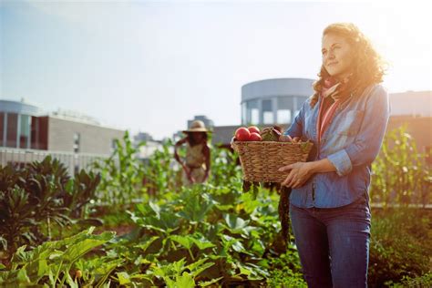 Pv Anlage Oder Rasen F R Das Garagendach