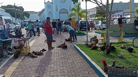 VANIO DAS GALINHAS REGISTRANDO AS NOVIDADES DA FEIRA EM TAQUARANA 20 01