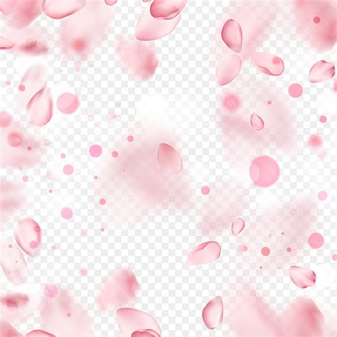 Spot Light Effect Hd Transparent Pink Cherry Flower Petal Light Effect