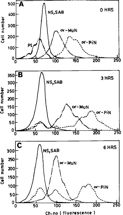 Flow Cytometry Of Spermatozoa Labelled With Anti Mun And Antipin During