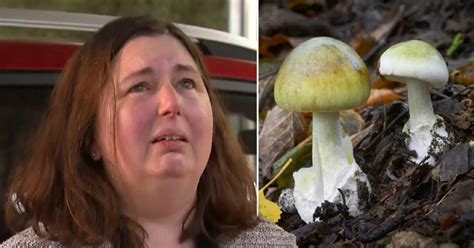 Survivor Of Australian Lethal Mushroom Mystery Leaves Hospital News