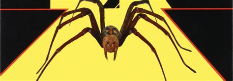 dr strings drop  tuning stainless steel heavy bass guitar strings