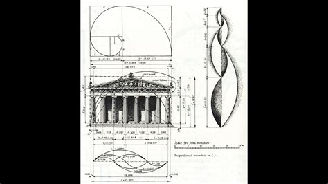 Tỷ Lệ Vàng Fibonacci Golden Ratio Trong Kiến Trúc Nội Thất Part 1