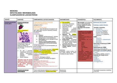 Solution Cuadro Comparativo Bacterias Studypool The Best Porn Website