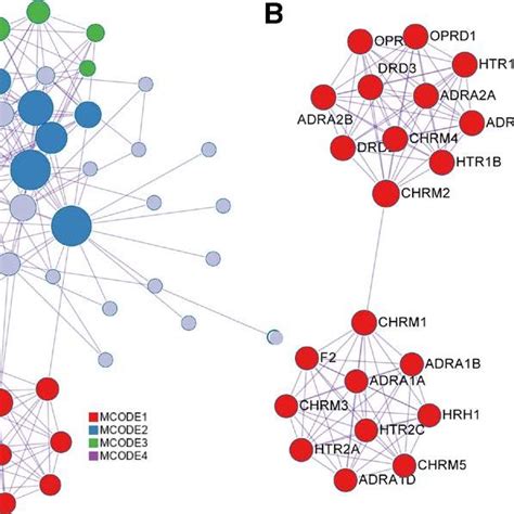 A Ppi Networks Analysis B The Core Targets Extracting From All