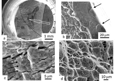 SEM Images Of The Fracture Surfaces Of The Samples After Tests At A