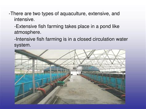 Ppt Fish Farming Powerpoint Presentation Free Download Id2746478