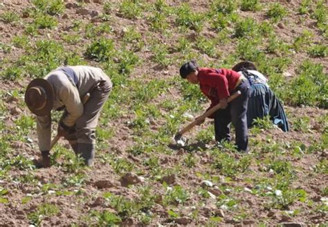 Observatorio Boliviano De Los Recursos Naturales 15679 Hectáreas Listas Para La Agricultura