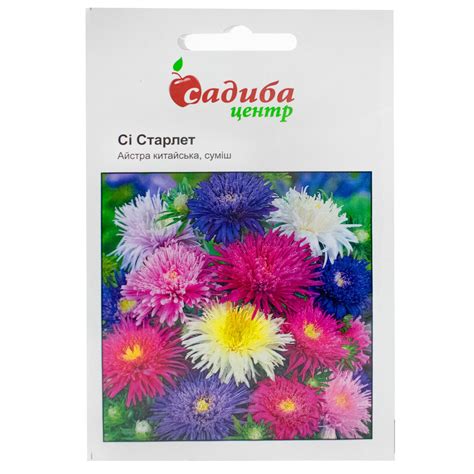 Астра акварель смесь (52 фото)