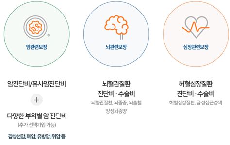 Db종합보험 보장 및 보장내용 2분만에 확인하고 신청하기 금융플랜