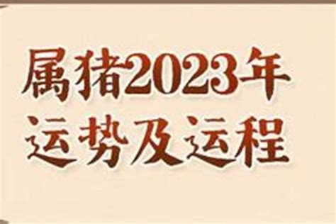 属猪2023年运势及运程，生肖猪2021年8月运势 生肖 若朴堂文化