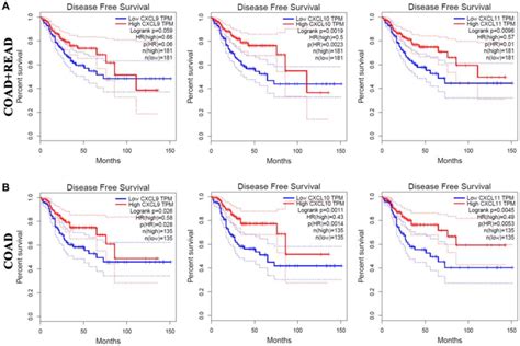 The Prognostic Value Of Different Expressed CXC Chemokines In CRC