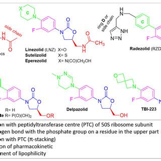 Core Structure Of Oxazolidinone Antibiotics And Molecular Structures Of