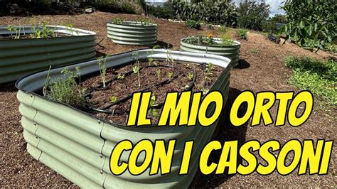 Il Mio Nuovo Orto Rialzato Con I Cassoni Vegega Youtube