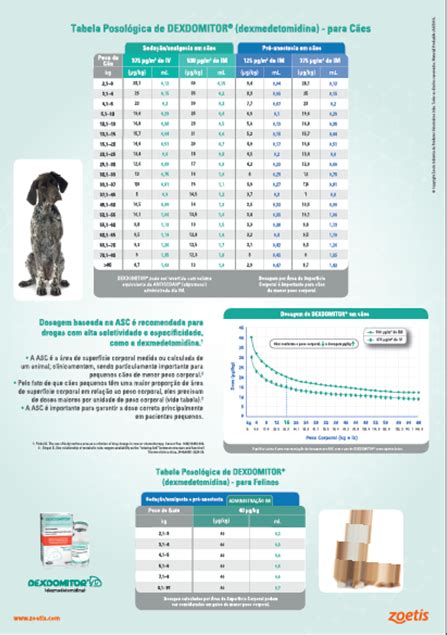 Anestesia E Sedação De Cães E Gatos Zoetis Br