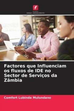 Factores Que Influenciam Os Fluxos De Ide No Sector De Servi Os Da