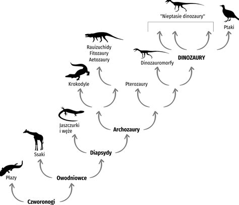 Dinozaury drzewo rodowe od czworonogów i owodniowców po płazy