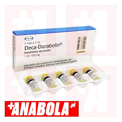 Nandrolone Decanoate Organon Deca Durabolin Fiolka Mg Ml