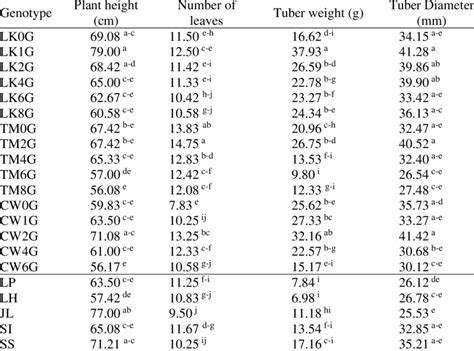 Growth And Performance Of Garlic Genotypes Download Scientific Diagram