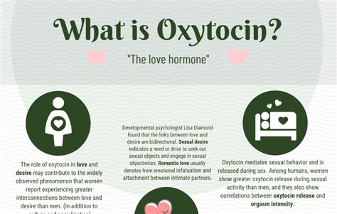 Infographic: Oxytocin – The Love Hormone