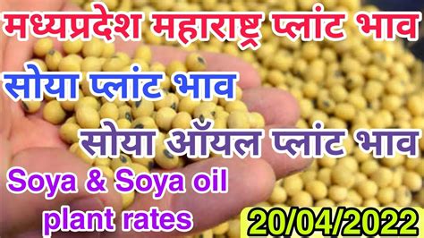 मप्र महा प्लांट भाव। 20042022।सोया प्लान्ट भाव।soya Oil Plant Bhav