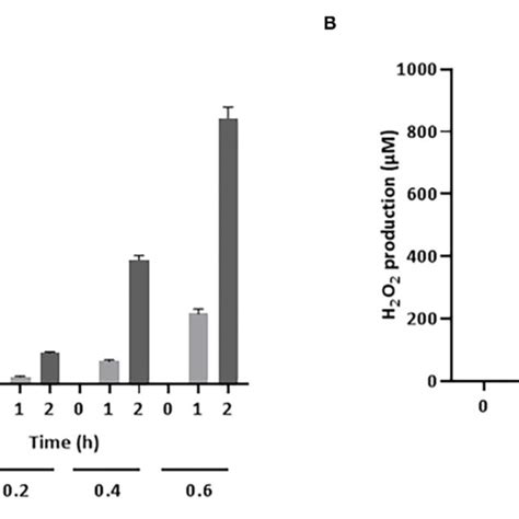 Production Of H 2 O 2 By S Pluranimalium 2n12 A Dose And