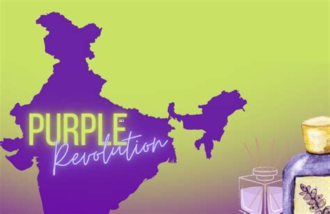 What Is The Purple Revolution Of India?