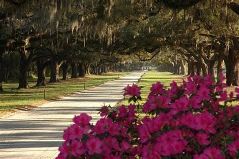 Charleston Plantations: 10Best Attractions Reviews