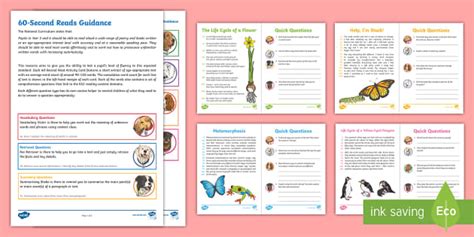 Second Reads Life Cycles Activity Pack Teacher Made