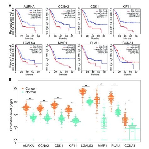 Effects Of Dendrobin A On Pdac Cell Proliferation Cycle Apoptosis