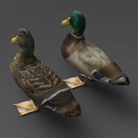 3d Model Ducks Vr Ar Low Poly Cgtrader