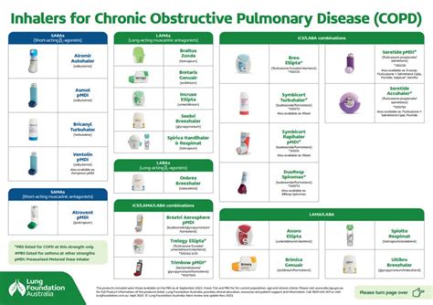 Lung Foundation Australia On Linkedin Copd Inhaler Device Chart Poster