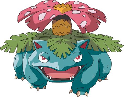 Venusaur Pokémon Wiki Fandom Pokemon Venusaur Pokemon Pokemon