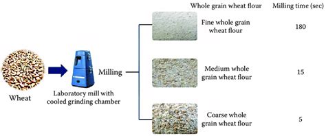 Representation Of The Milling Process And Production Of Whole Grain