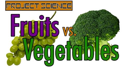 What Is The Difference Between Fruits And Vegetables Project Science