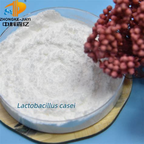 Multistrain Lactobacillus Casei Probiotic Powder For Allergy Relief