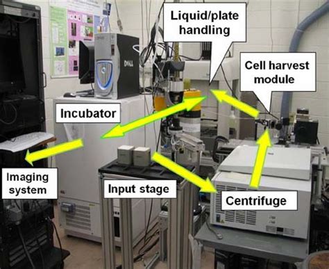 method  mass testing  radiation damage ibtimes
