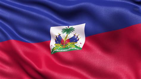 Haiti Flag Seamless Loop D Animation Stock Footage Video Royalty