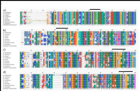 Multiple Peptide Sequences Alignment Of Map Kinase Proteins From Download Scientific Diagram