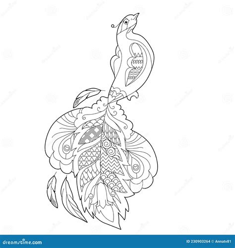 Cute Peacock Doodle Style Black And White Background Funny Bird Coloring Book Pages Stock