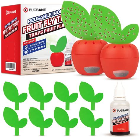 Buy Fruit Fly Traps for Indoors, Gnat Traps for House Indoor, 2 Apple ...