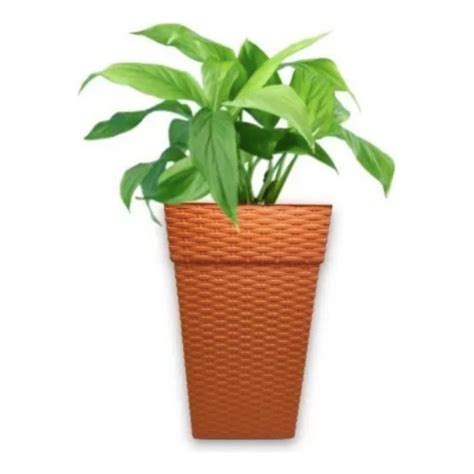 Vaso Grande Coluna Quadrado Rattan Para Flores E Plantas 17l Shopee