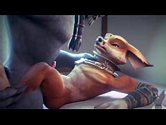 Copilation Furry Yiff Gay Xxx Mobile Porno Videos Movies IPornTV Net