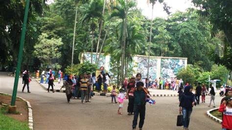 Wisata Ke Taman Margasatwa Ragunan Perhatikan 3 Hal Berikut Okezone